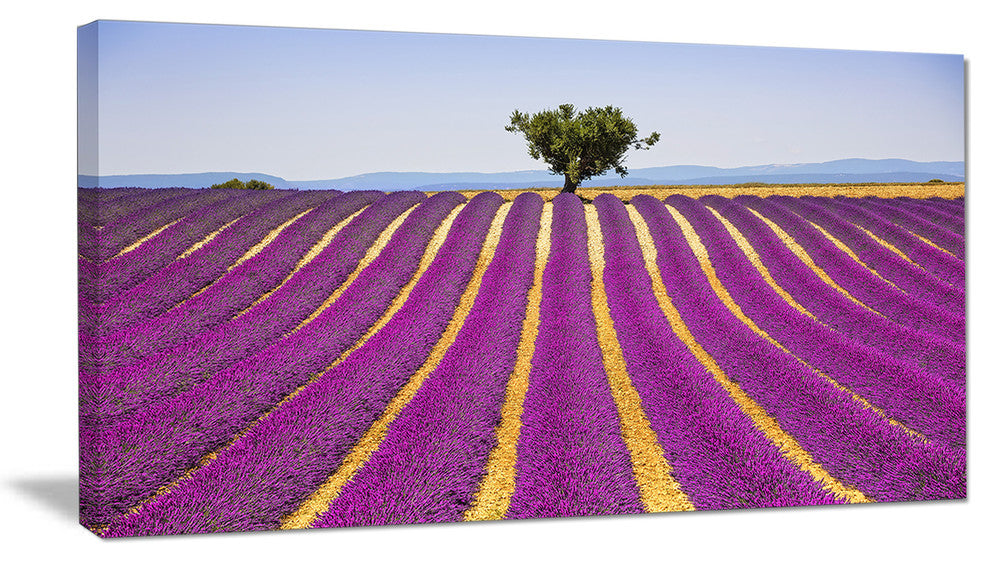 "Lavender And Lonely Tree Uphill" Landscape Wall Art Print, 40"x20"