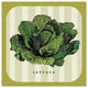 "Linen Vegetable II" Digital Paper Print by Studio Mousseau, 38"x38"