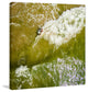 "Splashing In The Waves" Print by Karolis Janulis