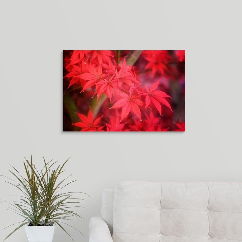 "Red and Red" Wrapped Canvas Art Print, 24"x16"x1.5"