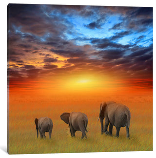 "The Future Is Bright" by Ben Heine, Canvas Print, 12"x12"