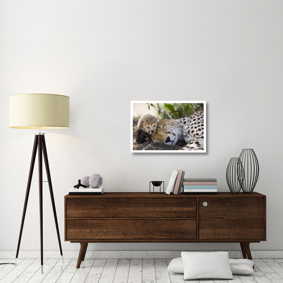 "Cheetah mother and seven day old cub, Maasai Mara Reserve" Paper Art, 32"x22"