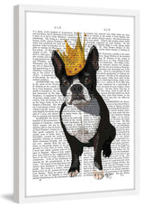 "Boston Terrier Crown" Framed Painting Print, 20"x30"
