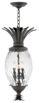 Hinkley Plantation Large Hanging Lantern, Museum Black