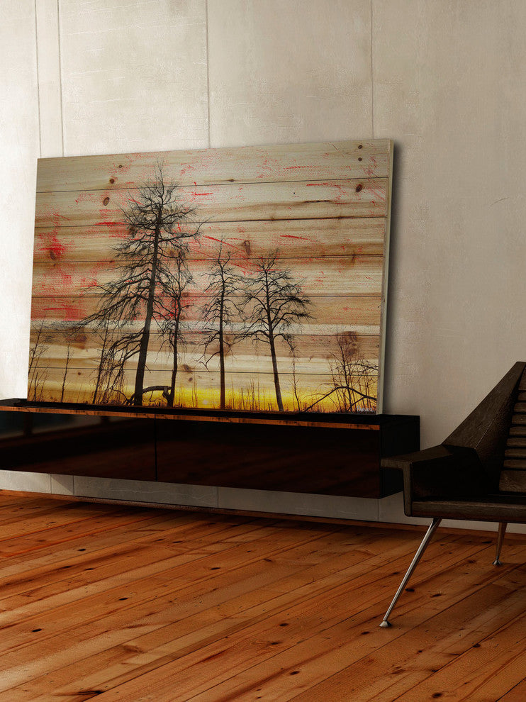 "Tree Skeletons" Print on Natural Pine Wood, 45"x30"