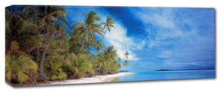 Doug Cavanah 'Palm Landscape' Canvas Art, 16x47