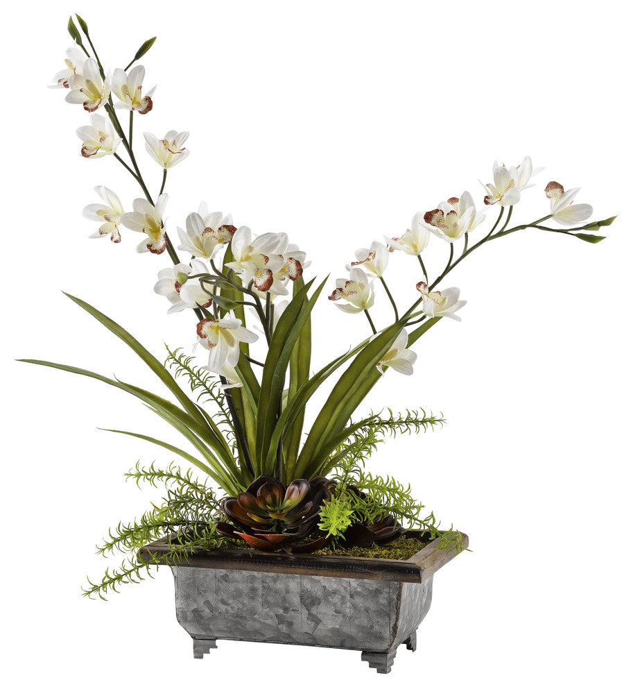 Cymbidium Orchids With Echeveria in Planter