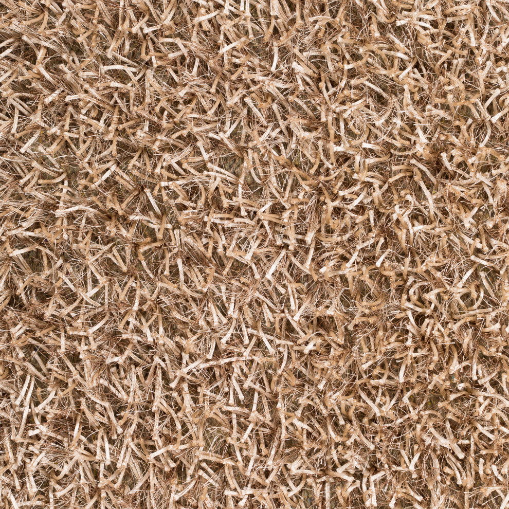Surya Taz TAZ-1002 5'x8' Rug, Cream