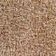 Surya Taz TAZ-1002 5'x8' Rug, Cream