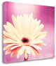 "Peachy Keen" By Carolyn Cochrane, Giclee Print on Gallery Wrap Canvas