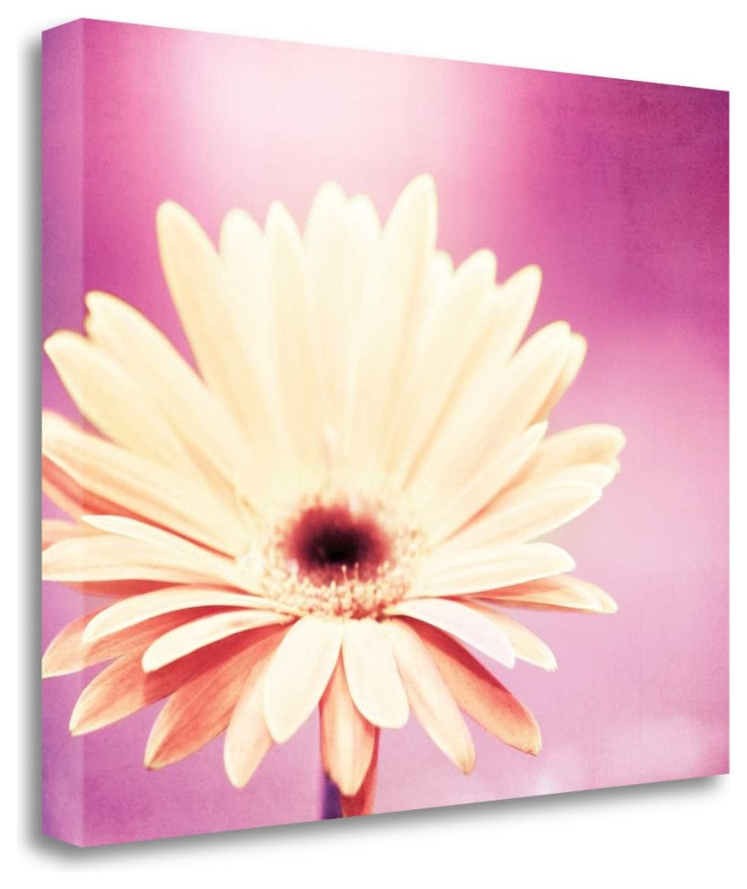 "Peachy Keen" By Carolyn Cochrane, Giclee Print on Gallery Wrap Canvas