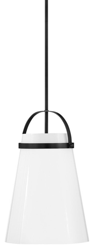 Lark 83053 Tori 1 Light 12"W Pendant / Ceiling Fixture - Black