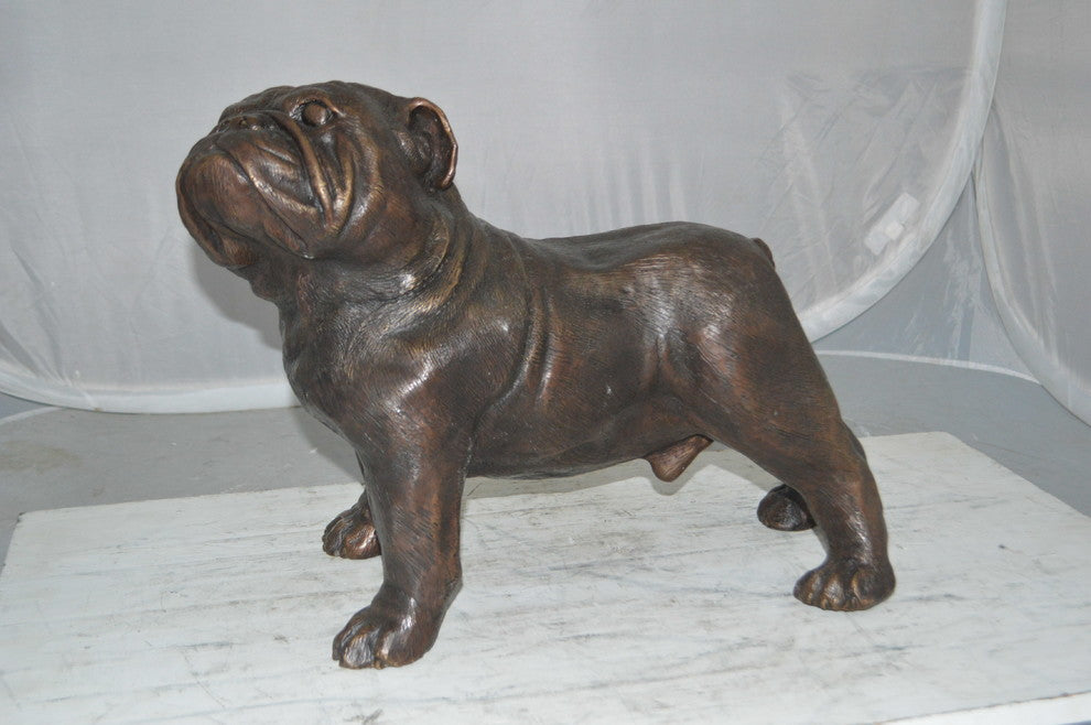 Bulldog Bronze Statue -  Size: 20"L x 9"W x 15"H.