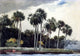 Winslow Homer Red Shirt- Homosassa- Florida Wall Decal