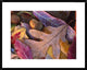 Acorns, Oak, Cherry and Sumac, Fall, Petit Jean State Park, Arkansas, 30"x24"