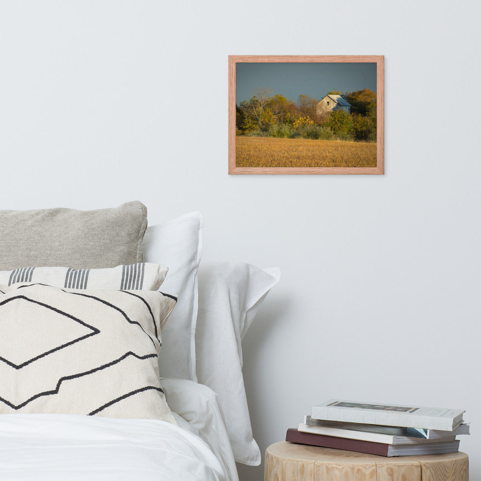 Abandoned Barn In The Trees Framed Photo Paper Wall Art Prints, Red Oak, 12" X 16"