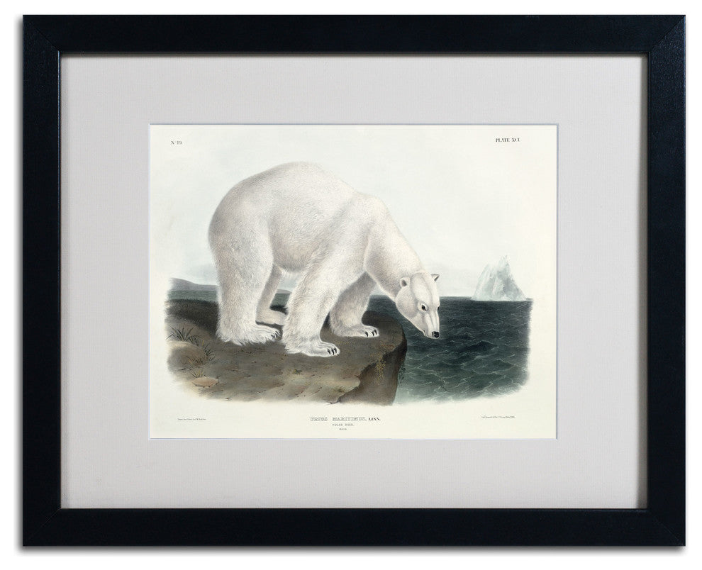 'Ursus Maritimus Polar Bear' Matted Framed Canvas Art by John James Audubon