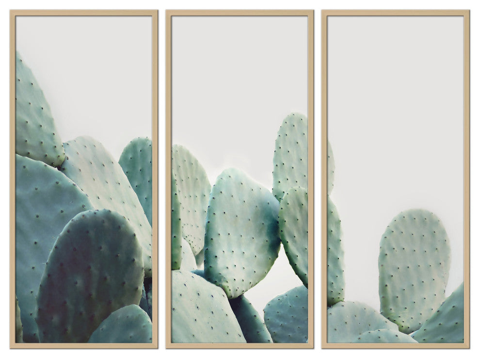 Pastel Cactus Framed 3-Piece Wall Art Set by Kathrin Pienaar, 12"x24", Framed