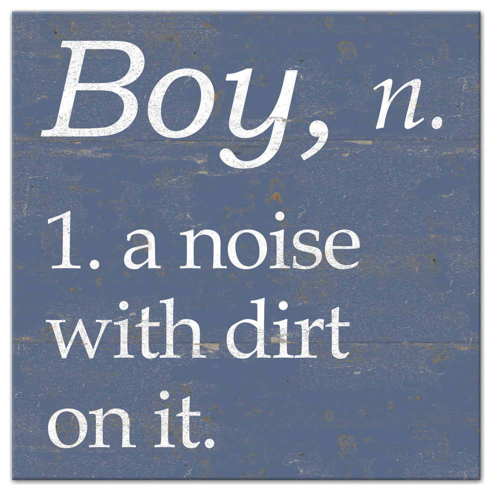 Boy Definition 12x12 Canvas Wall Art
