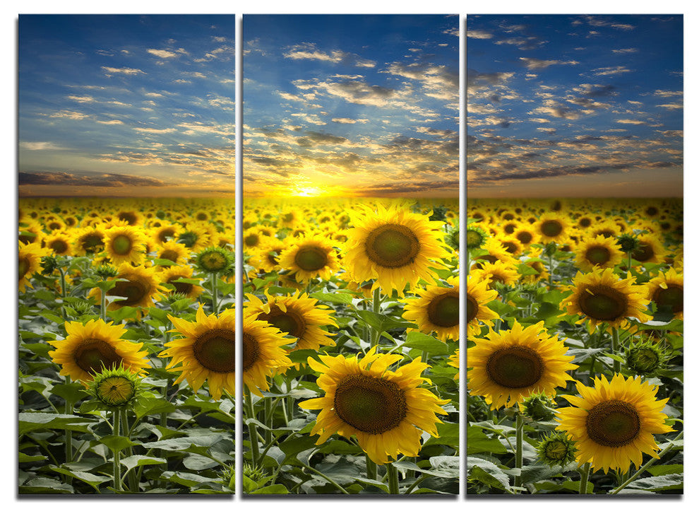 "Field of Blooming Sunflowers" Metal Wall Art, 3 Panels, 36"x28"