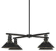 Henry Outdoor 4-Light Pendant, Coastal Black Finish