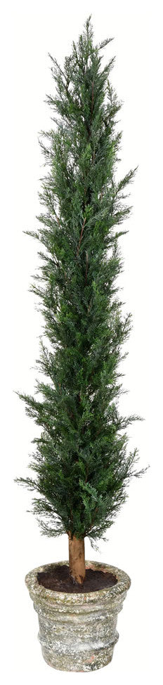 60" Potted Cedar Tree