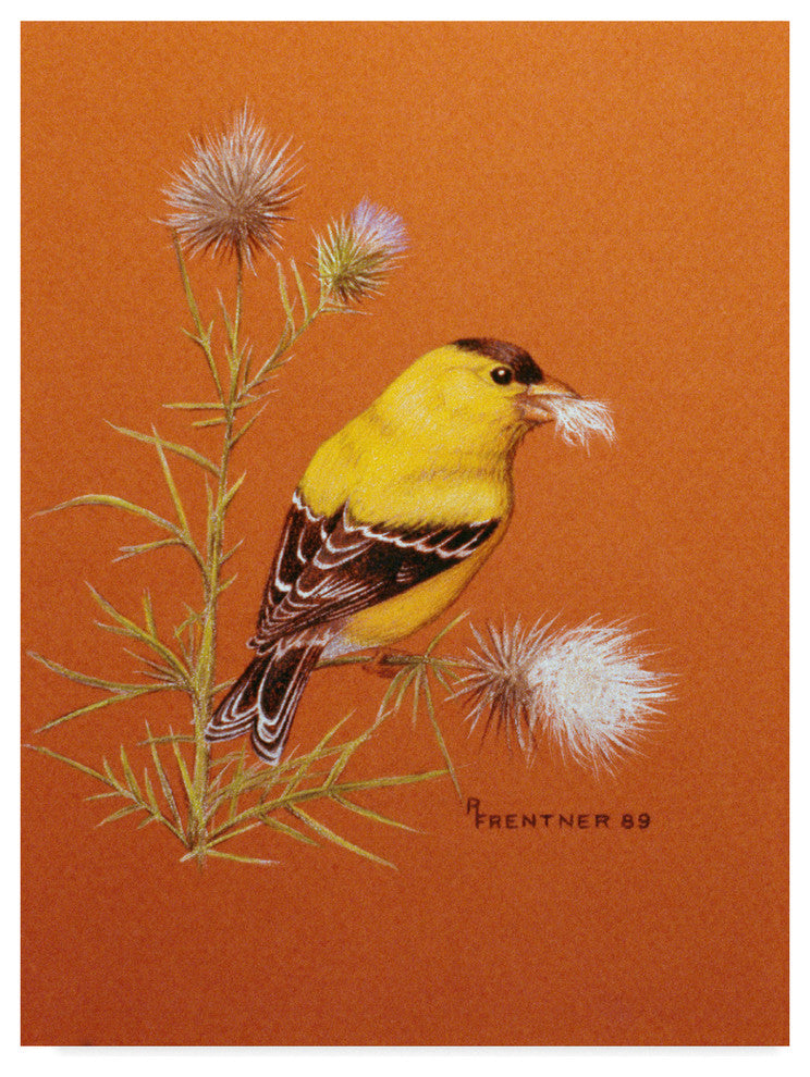 Rusty Frentner 'Bird Red Background' Canvas Art, 24"x18"