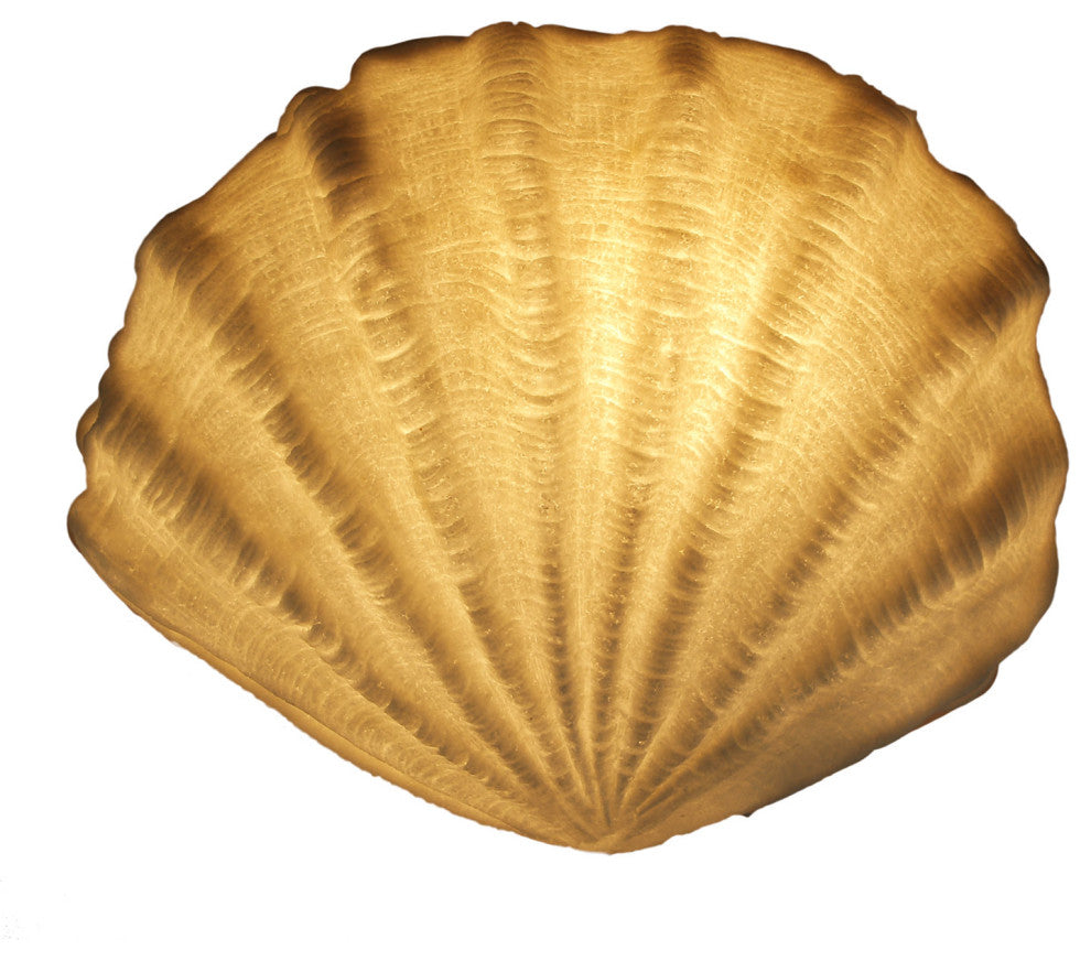 White Sandstone Finish Clam Shell Coastal Art Accent Lamp