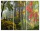 "Japanese Wooden Bridge in Fall" Photo Metal Wall Art, 3 Panels, 36"x28"