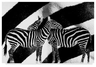 "Zebra" by Ata Alishahi, Canvas Art, 30"x47"