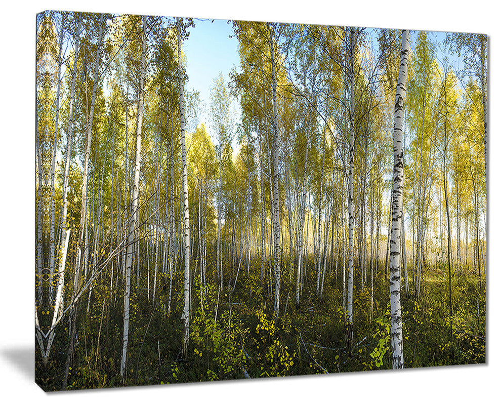 "Green Autumn Trees" Canvas Print