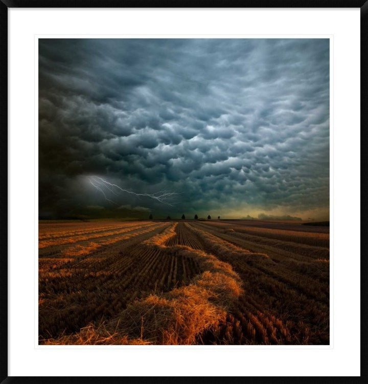 "Mammatus" Framed Digital Print by Franz Schumacher, 36x38"