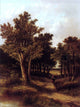 Junior Abraham Hulk A Wooded Landscape Wrapped Canvas, 21"x28"