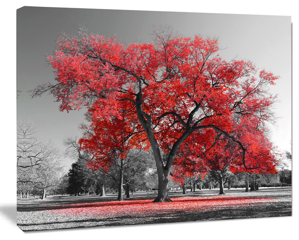 Big Red Tree on Foggy Day, Landscape Canvas Art Print, 20"x12"