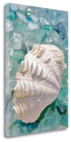 31" Pearl Shell and Colorful Seaglass Giclee Wrap Canvas Wall Art