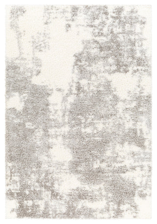 Cloudy shag CDG-2318 Gray/White Machine Woven 7'10" x 10' Rug