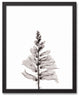 Transparent Black and White Flower 16x20 Black Framed Canvas