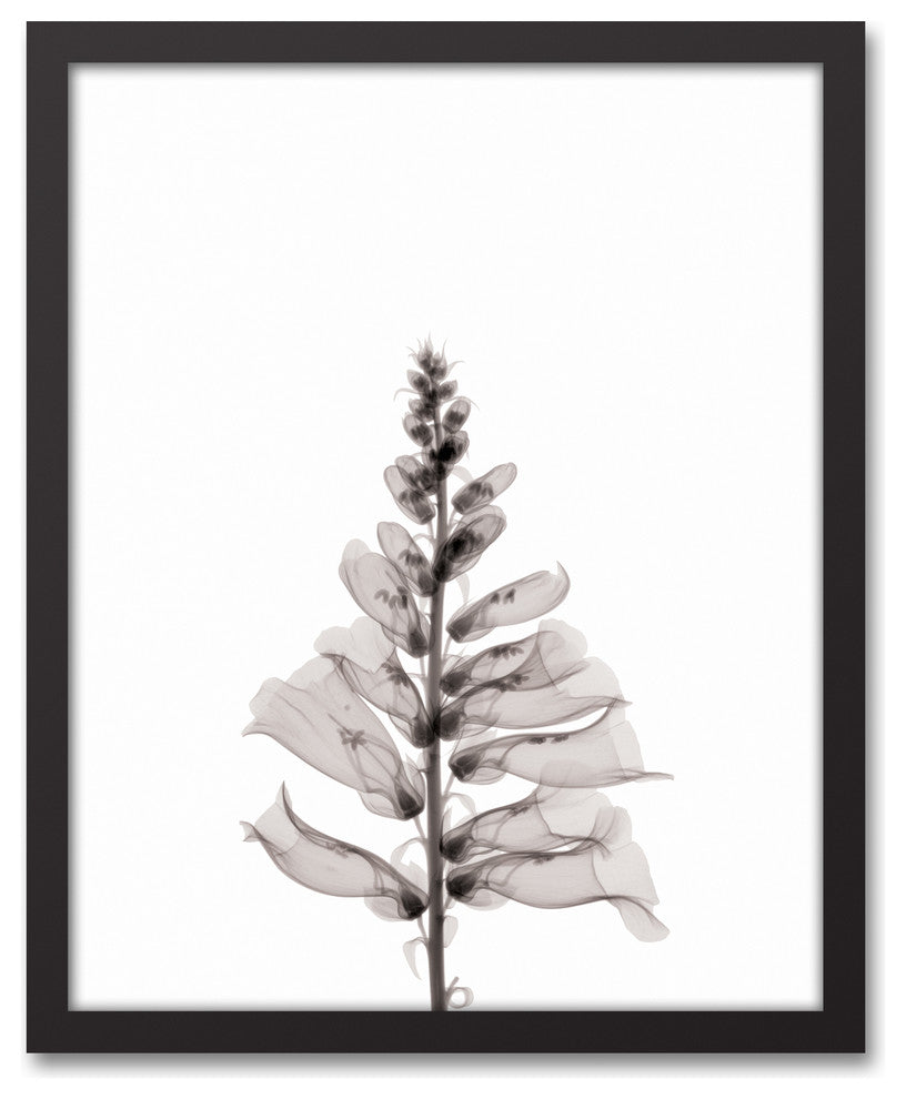 Transparent Black and White Flower 16x20 Black Framed Canvas