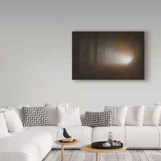Paolo Lazzarotti 'Last Light Of Autumn' Canvas Art, 24"x16"