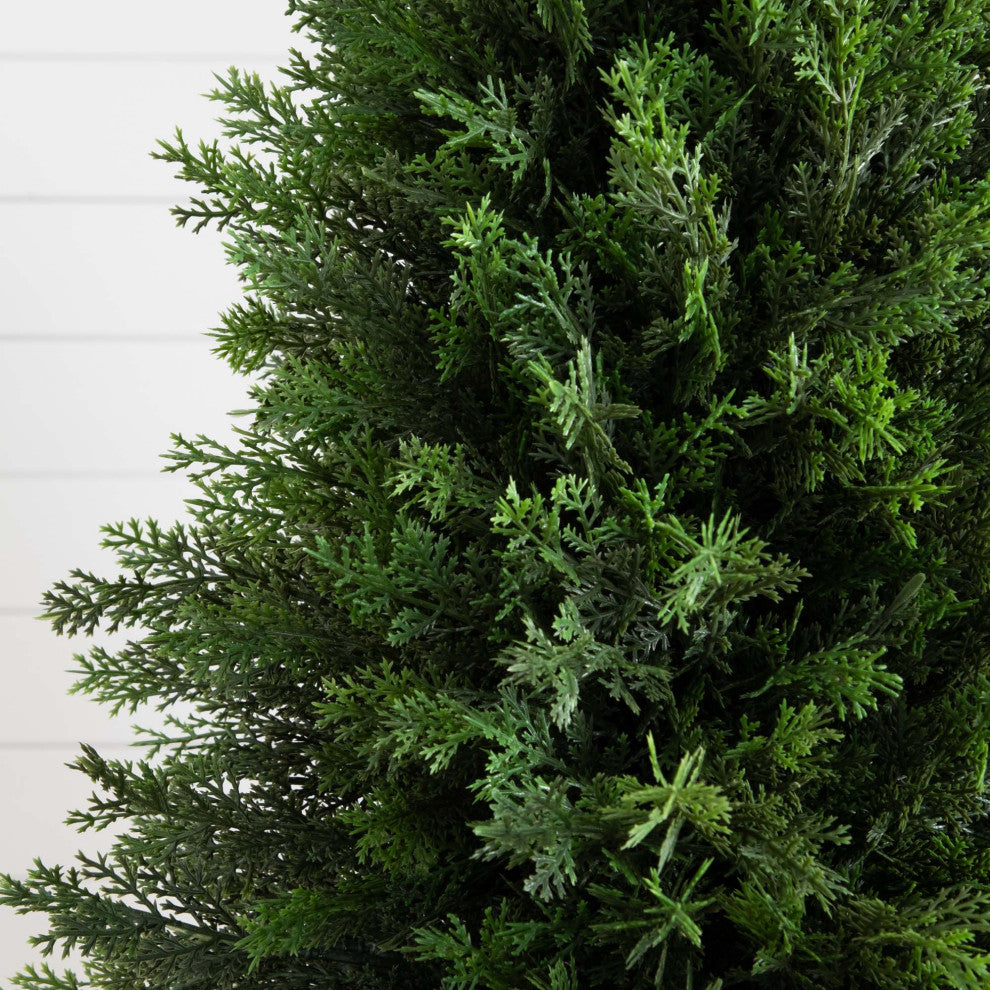 Close-up of foliage with white background (alternate_white_close).