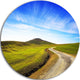 Rural Road And Olive Trees Uphill, Landscape Round Wall Art, 23"