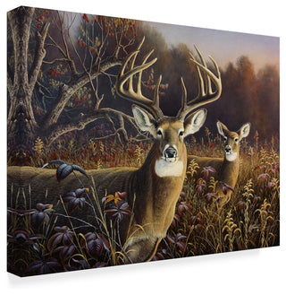 Wilhelm Goebel 'Deer' Canvas Art, 32"x24"