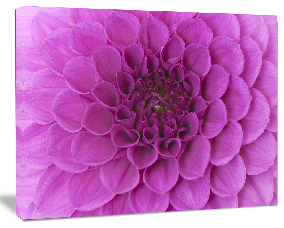 Large Purple Flower and Petals, Floral Canvas Art Print, 20"x12"