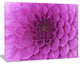 Large Purple Flower and Petals, Floral Canvas Art Print, 20"x12"