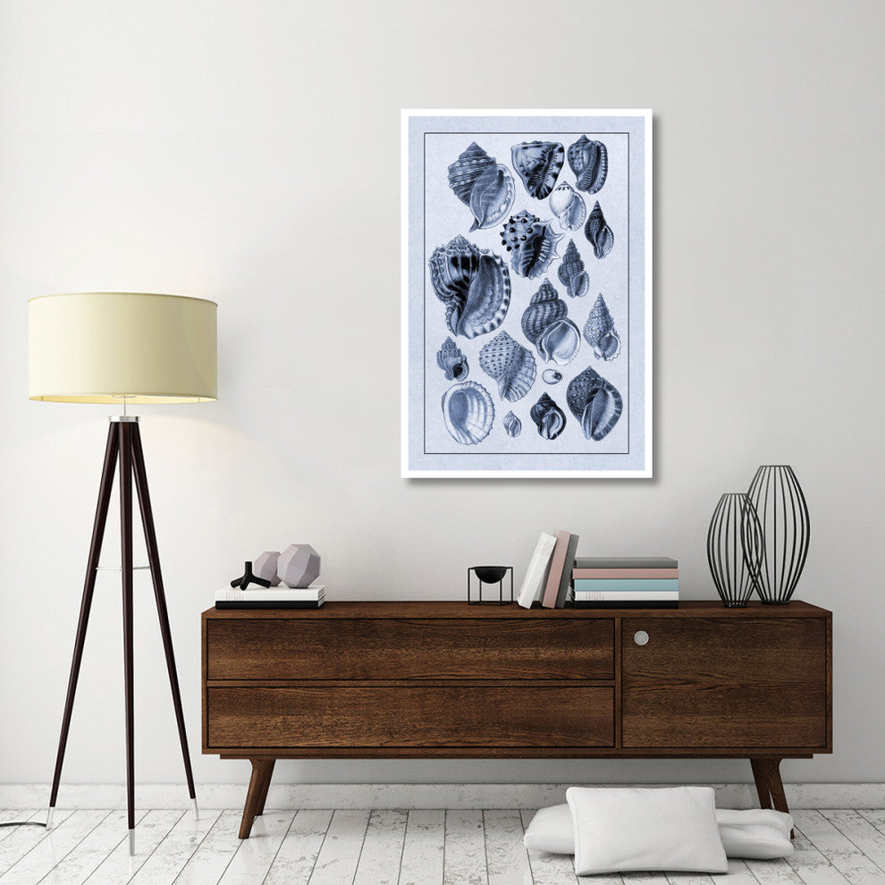 "Shells: Purpurifera (Blue)" Digital Paper Print by G.B. Sowerby, 34"x50"