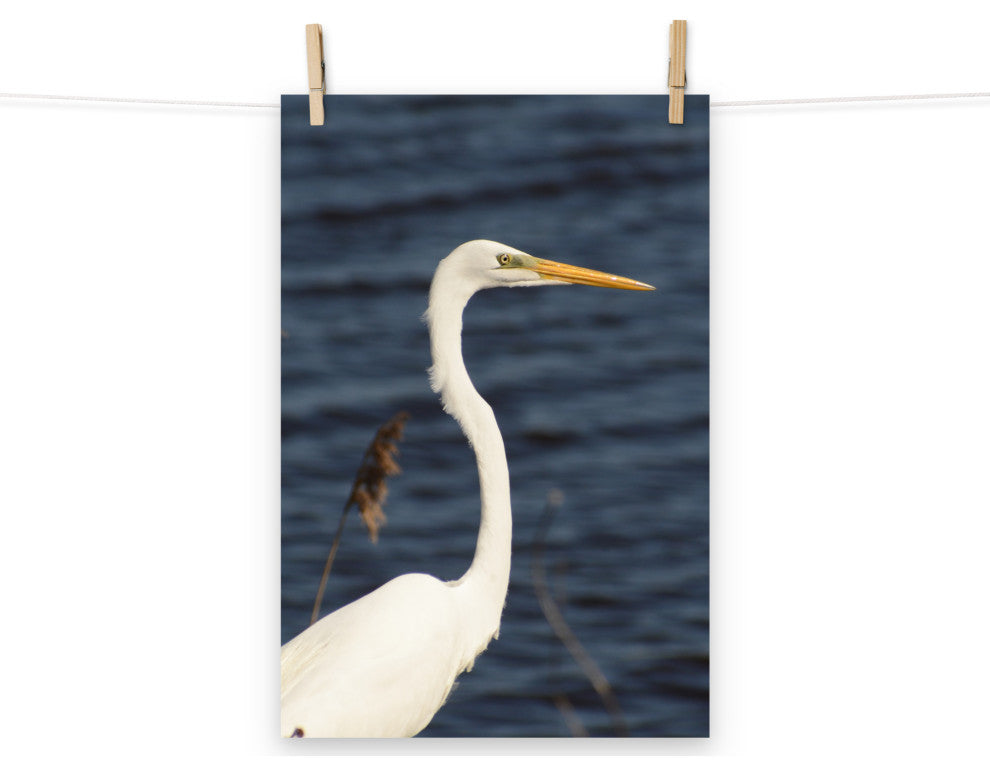 Great White Egret Wildlife Photography Unframed Wall Art Print, 12" X 18"