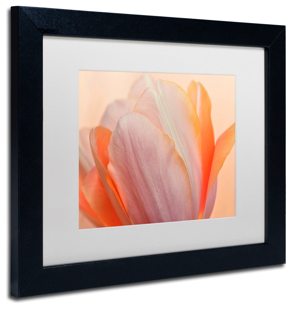 Cora Niele 'Orange Glowing Tulip' Matted Framed Art