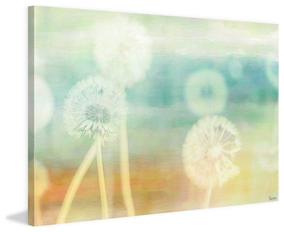 "Mix Dandy" Fine Art Canvas Print, 24"x16"