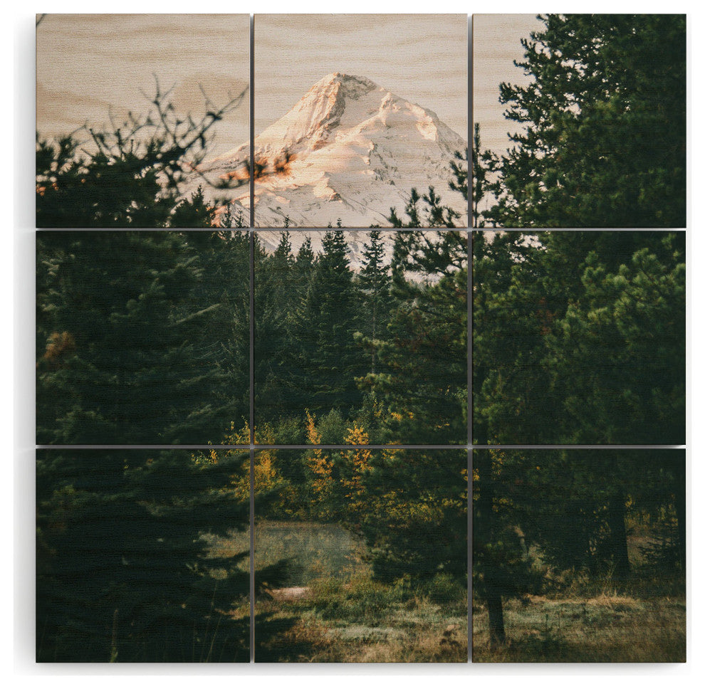 Hannah Kemp Mount Hood Xv Wood Wall Mural