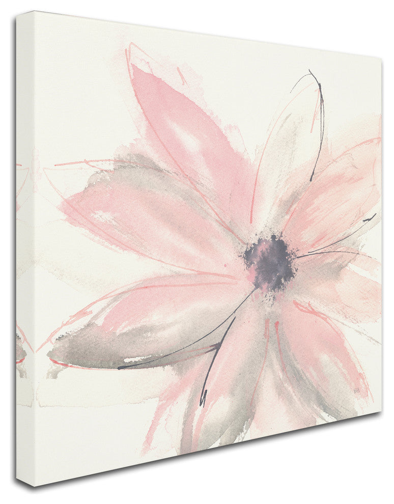 Chris Paschke 'Blush Clematis I' Canvas Art, 24x24